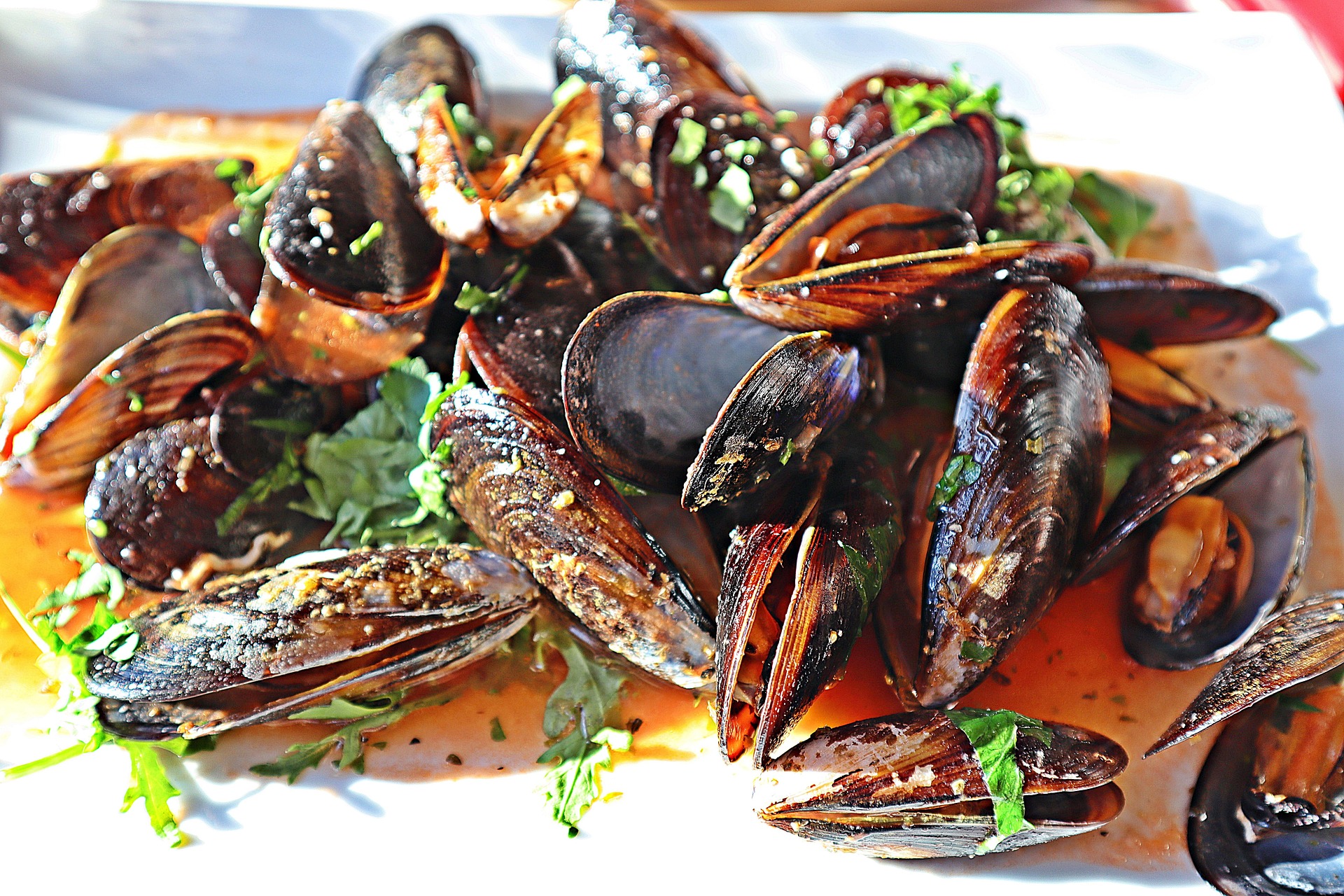 Frutti di Mare